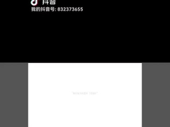 Moteur de démarrage, aimant de ferrite