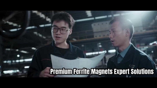 Aimants permanents en ferrite haute performance par JOINT MAG